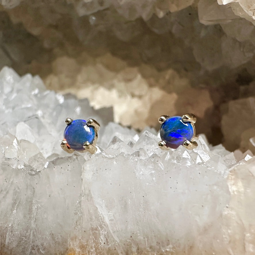 Black Opal Stud Earrings | 14k Yellow Gold