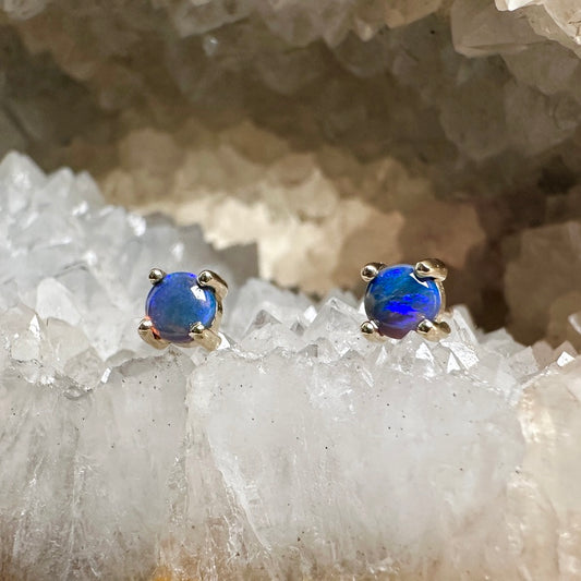 Black Opal Stud Earrings | 14k Yellow Gold