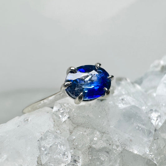 Bicolor Blue Sapphire Solitaire Ring | 14k White Gold