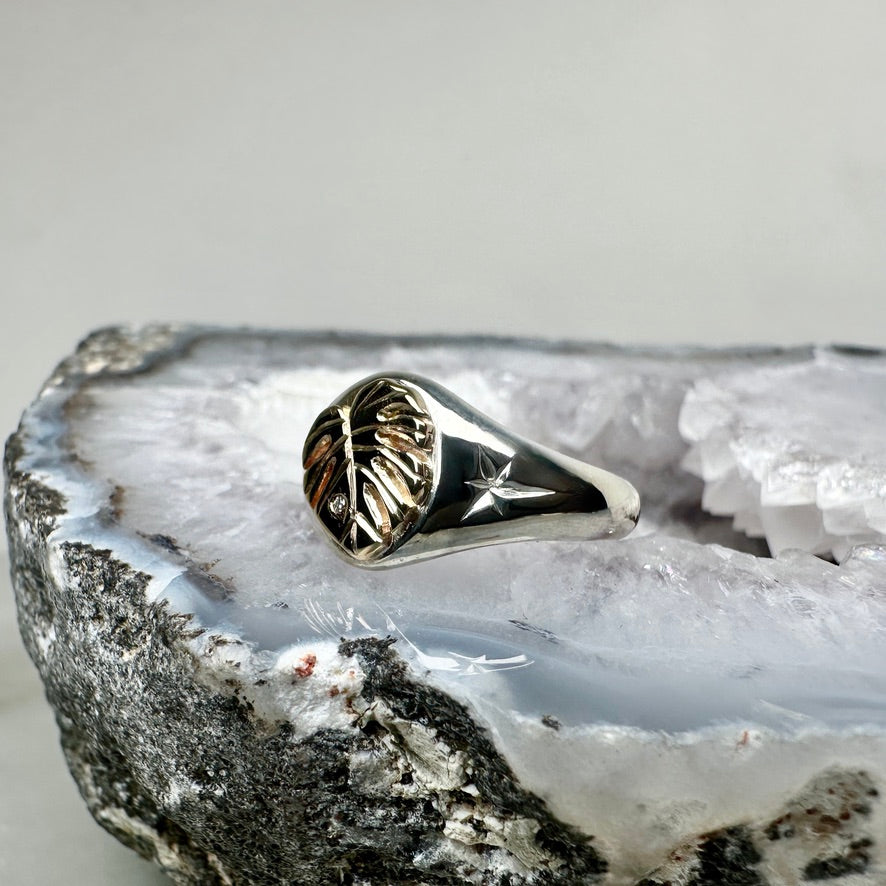 Monstera Leaf Signet Ring | 14k Yellow Gold & Sterling Silver