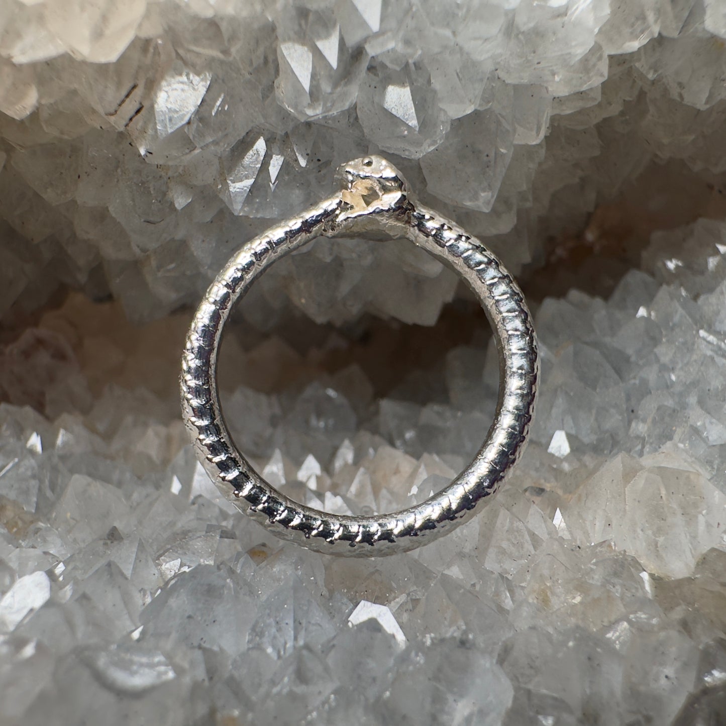 Ouroboros Serpent Ring