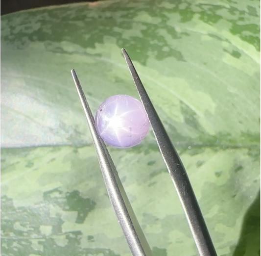 Purple Star Sapphire