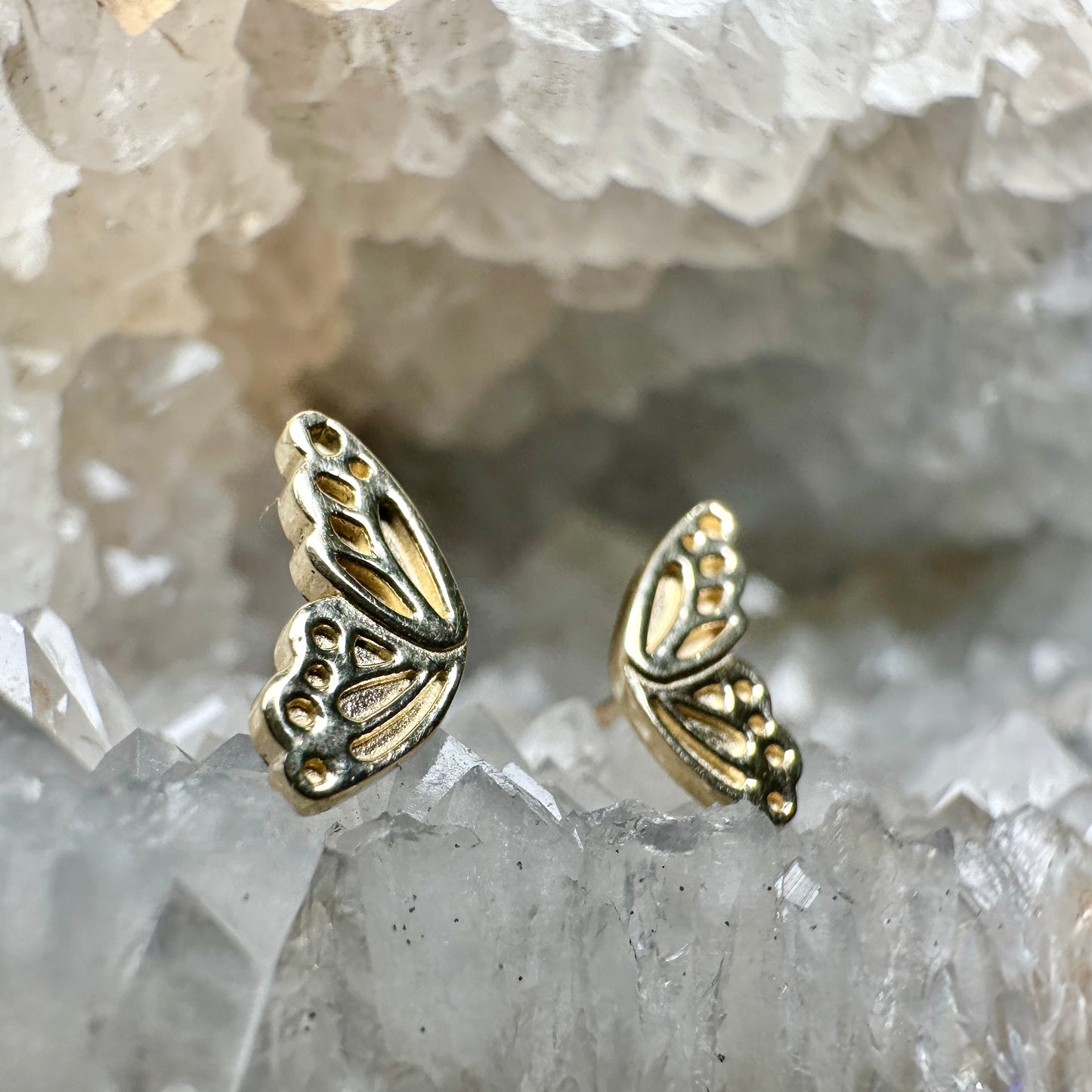 Monarch Wing Stud Earrings | 14k Yellow Gold