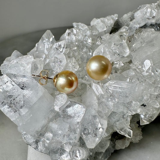 Golden South Seas Pearl Stud Earrings