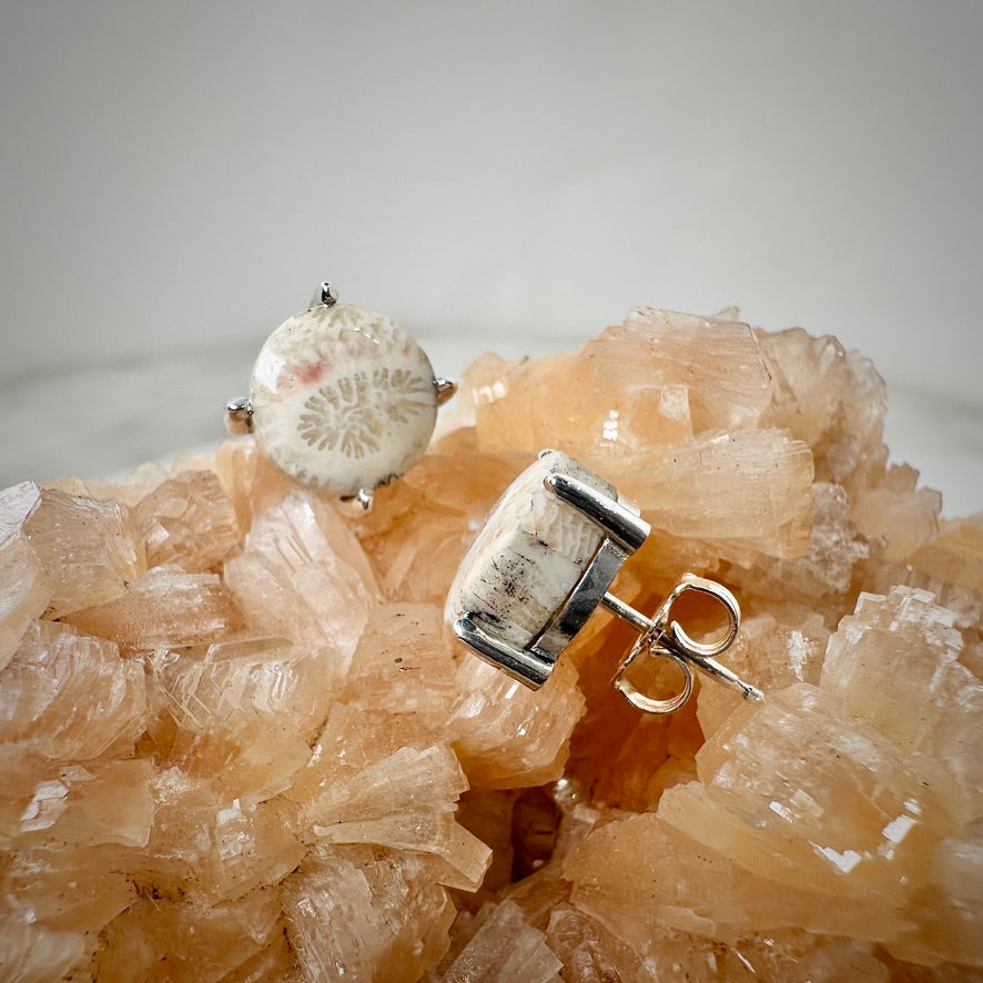 Fossilized Coral Stud Earrings | Sterling Silver