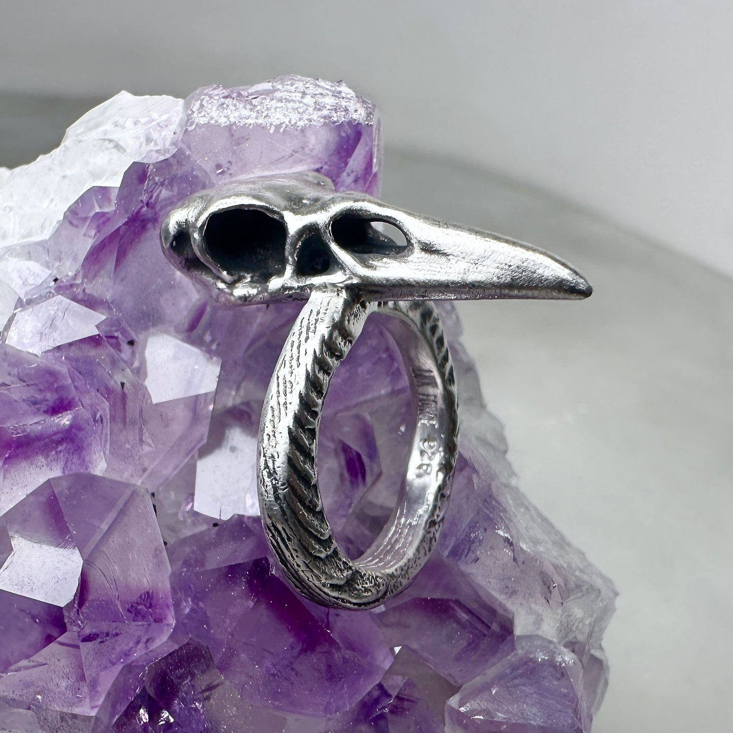 Raven Skull Ring with Organic Band | Sterling Silver