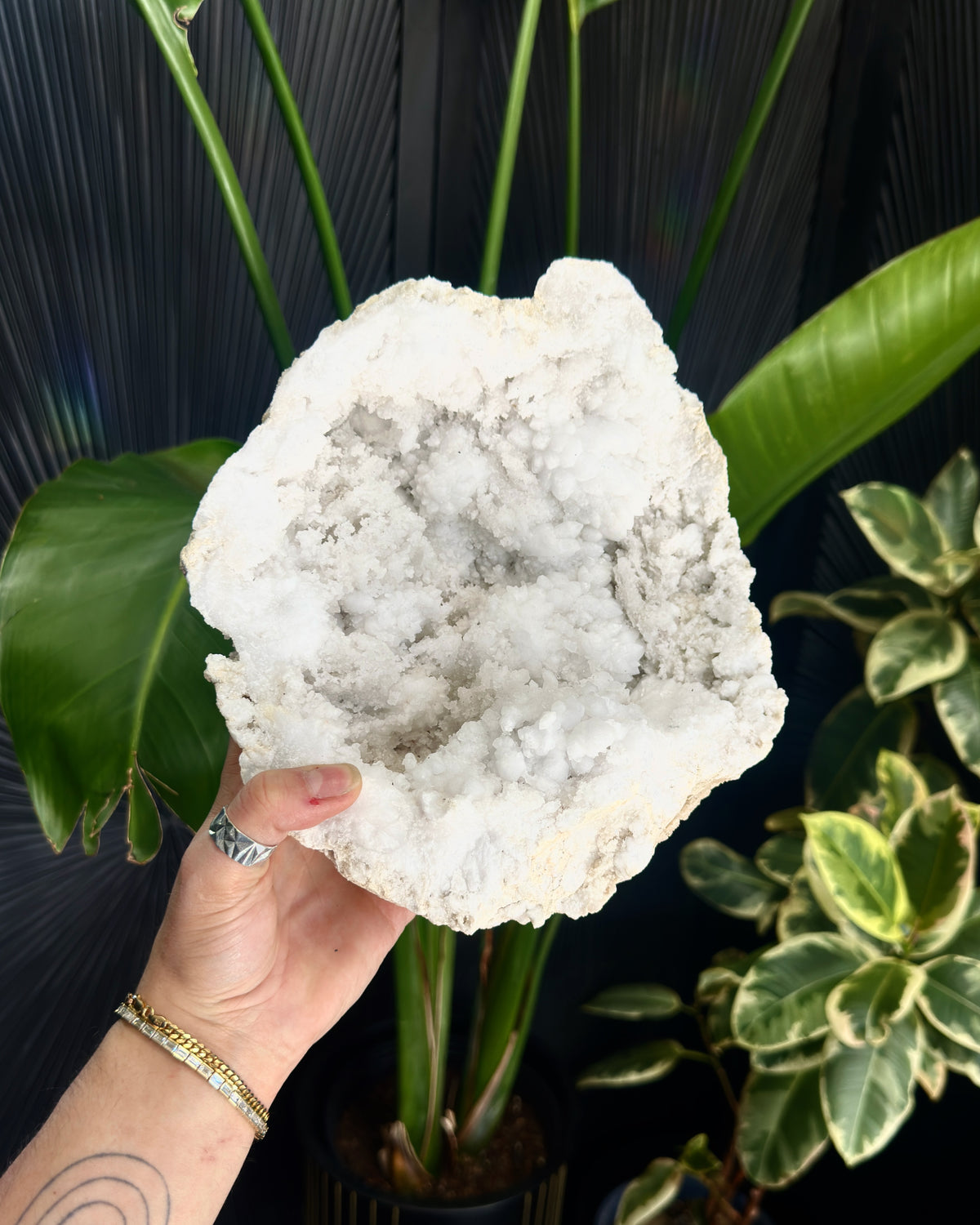 White Quartz Geode from Morocco | Cabinet Sized Crystal Specimen