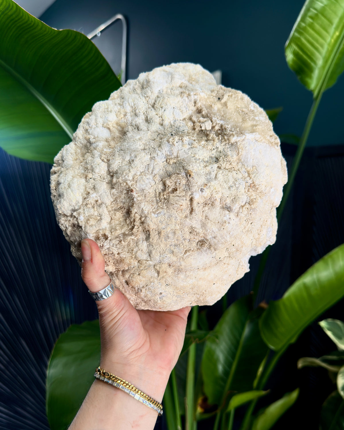 White Quartz Geode from Morocco | Cabinet Sized Crystal Specimen