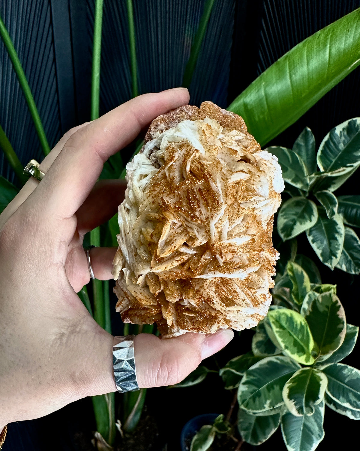 Barite & Vanadanite from Morocco | Crystal Specimen