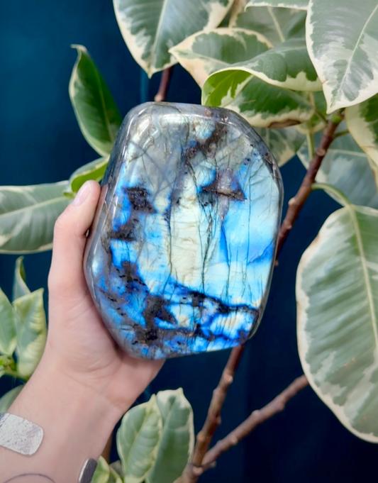 Blue & Teal Labradorite | Medium Sized