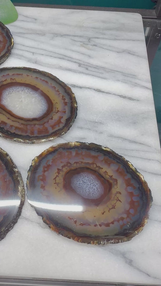 Brown Striped Agate Slices | Mineral Specimen from Brazil